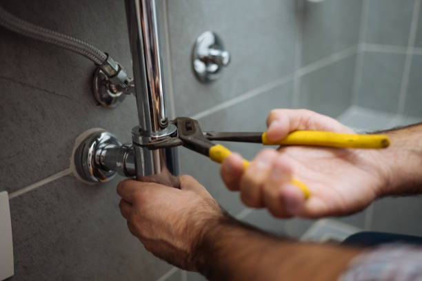 Best Clogged Drain Plumber  in Bowmanstown, PA